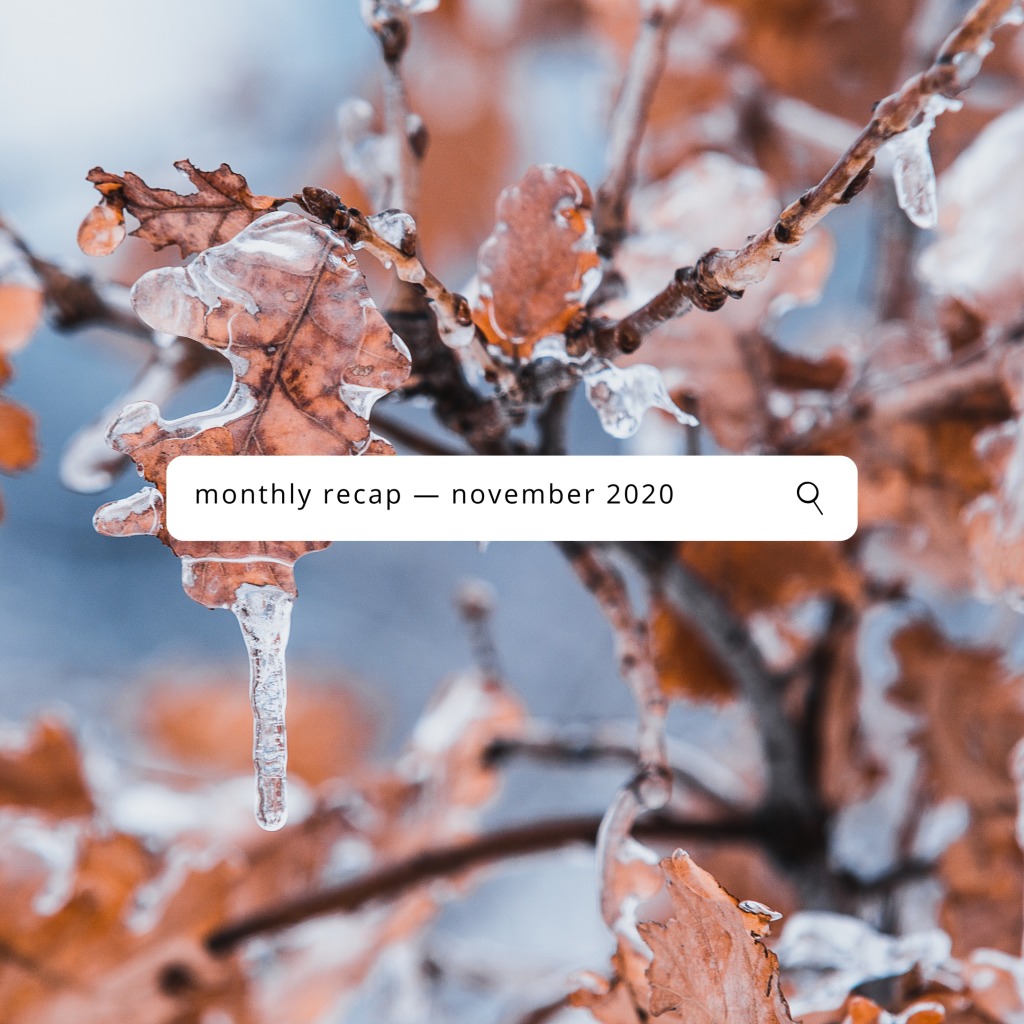 Monthly Recap — November 2020